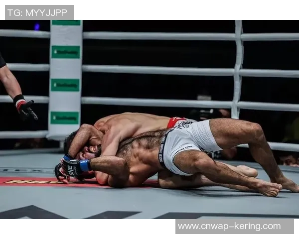 07年白近斌与方便的对决回顾及其对中国格斗发展的影响分析